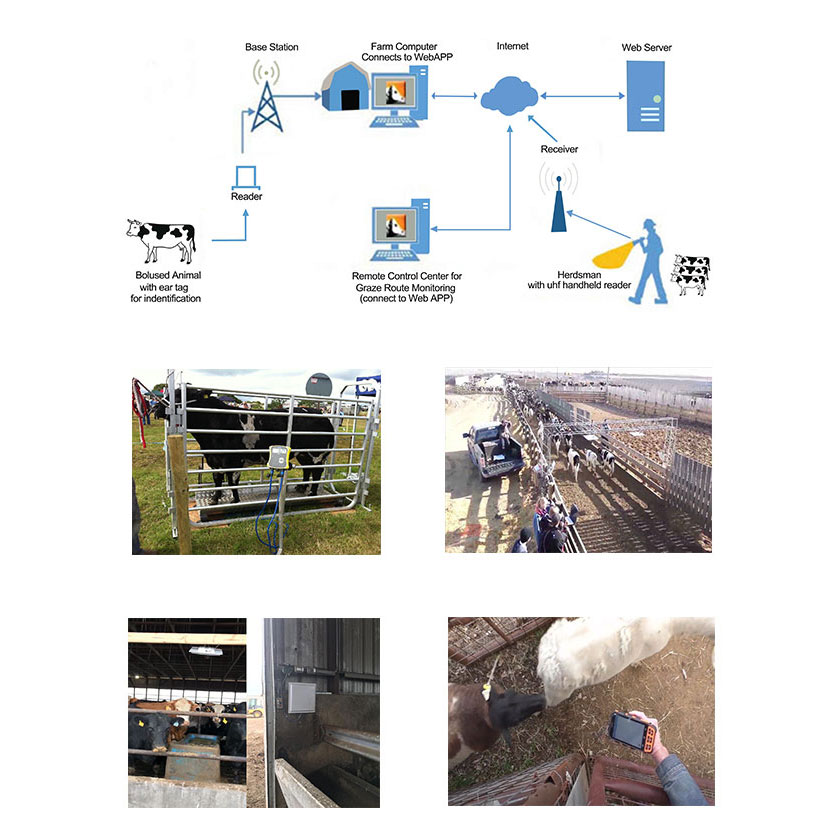 RFID Animal tracking, identificatie- en managementsysteem