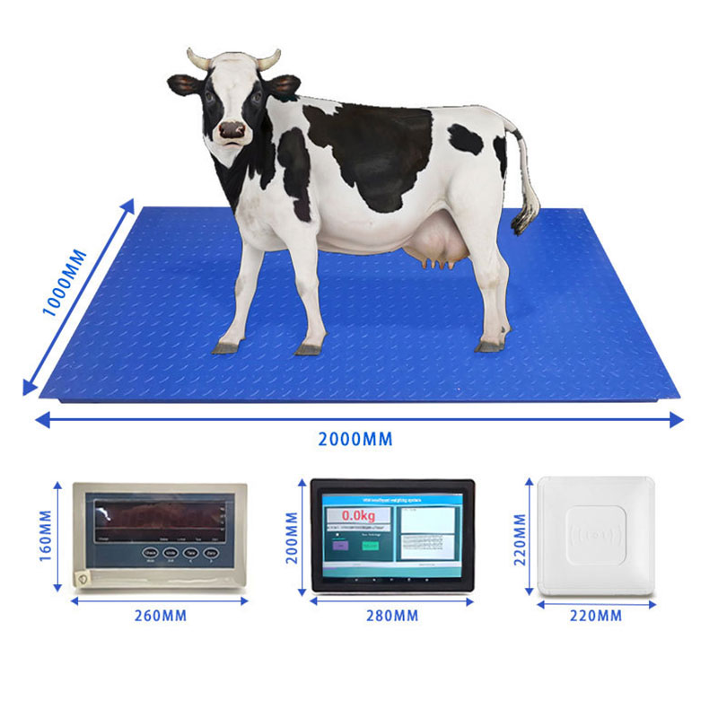 RFID vee oormerk herkenning weegsysteem elektronische dierenweegschaal RFID dier oormerk herkenning vloerweegschaal met slim touchscreen